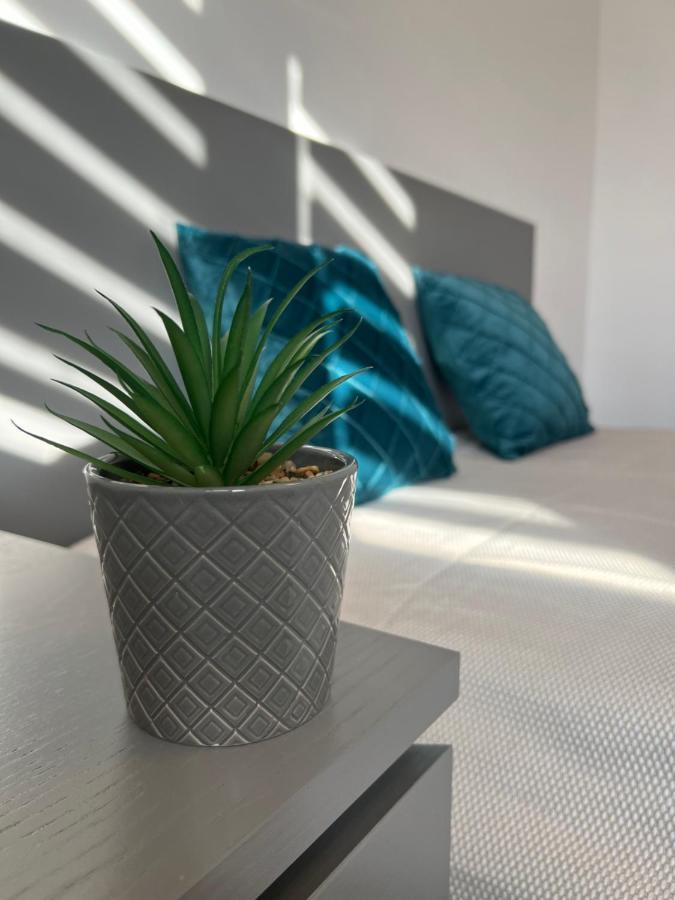 Sunny Luxury Home G. Enescu Suceava Ngoại thất bức ảnh