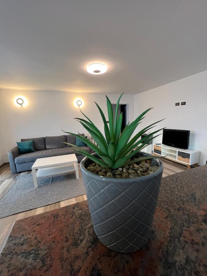 Sunny Luxury Home G. Enescu Suceava Ngoại thất bức ảnh